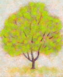 ۂ
