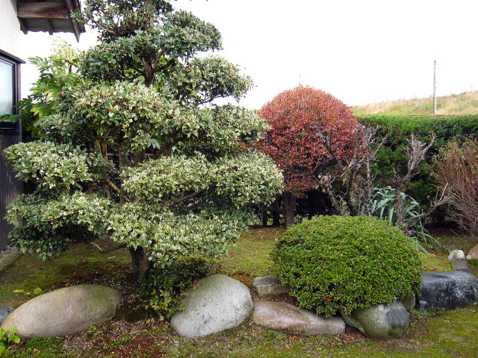 OǂƂЂ炬