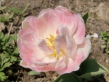 All