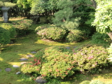 뒆