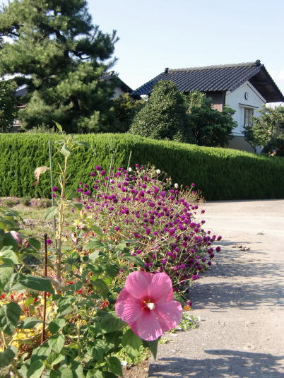 gEAJu